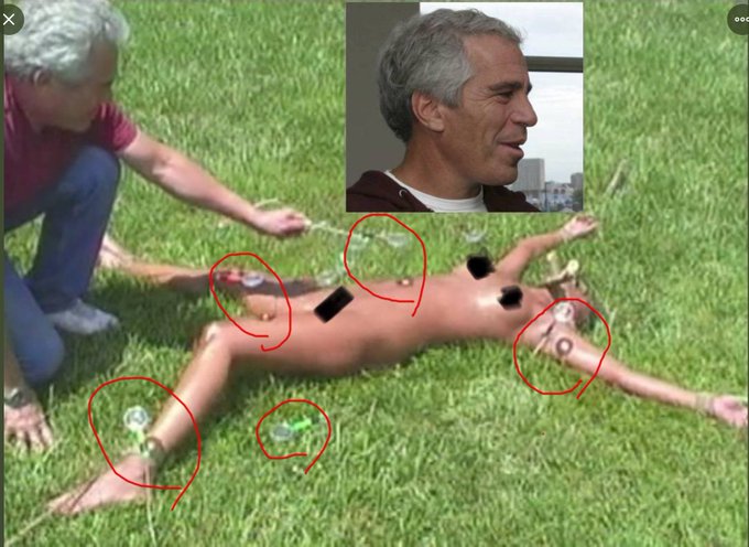 QA81.jpg